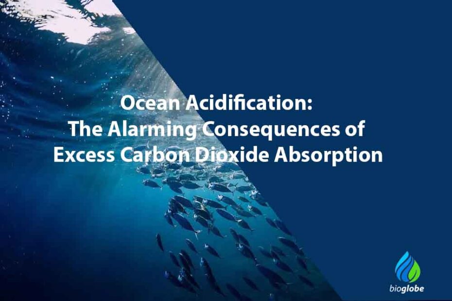 Ocean Acidification: The Alarming Consequences of Excess Carbon Dioxide Absorption 1 Ocean Acidification The Alarming Consequences of Excess Carbon Dioxide Absorption
