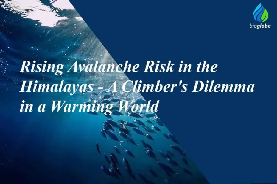 Rising Avalanche Risk in the Himalayas - A Climber's Dilemma in a Warming World 1 Rising Avalanche Risk in the Himalayas A Climbers Dilemma in a Warming World
