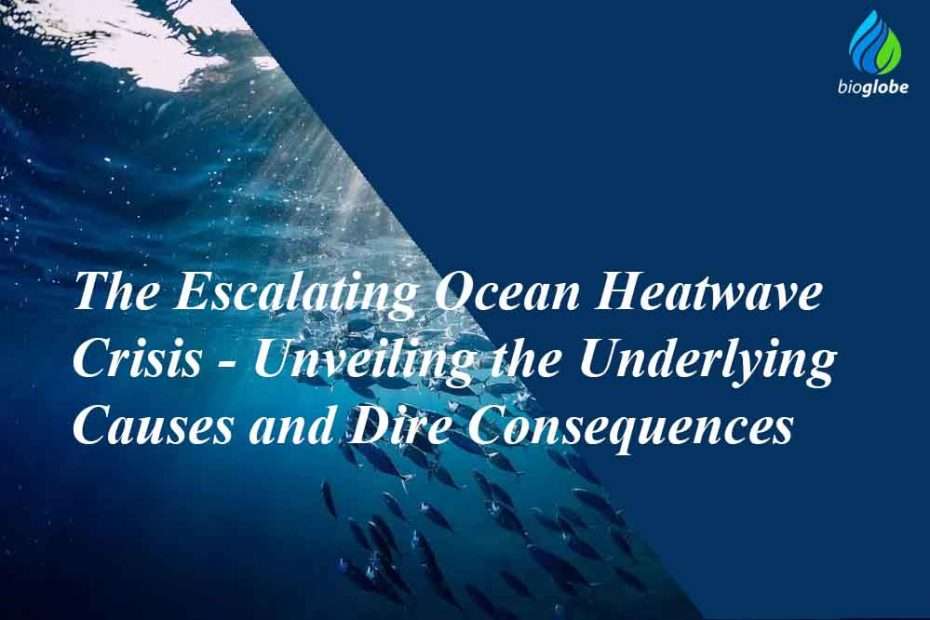 The Escalating Ocean Heatwave Crisis - Unveiling the Underlying Causes and Dire Consequences 1 The Escalating Ocean Heatwave Crisis Unveiling the Underlying Causes and Dire Consequences