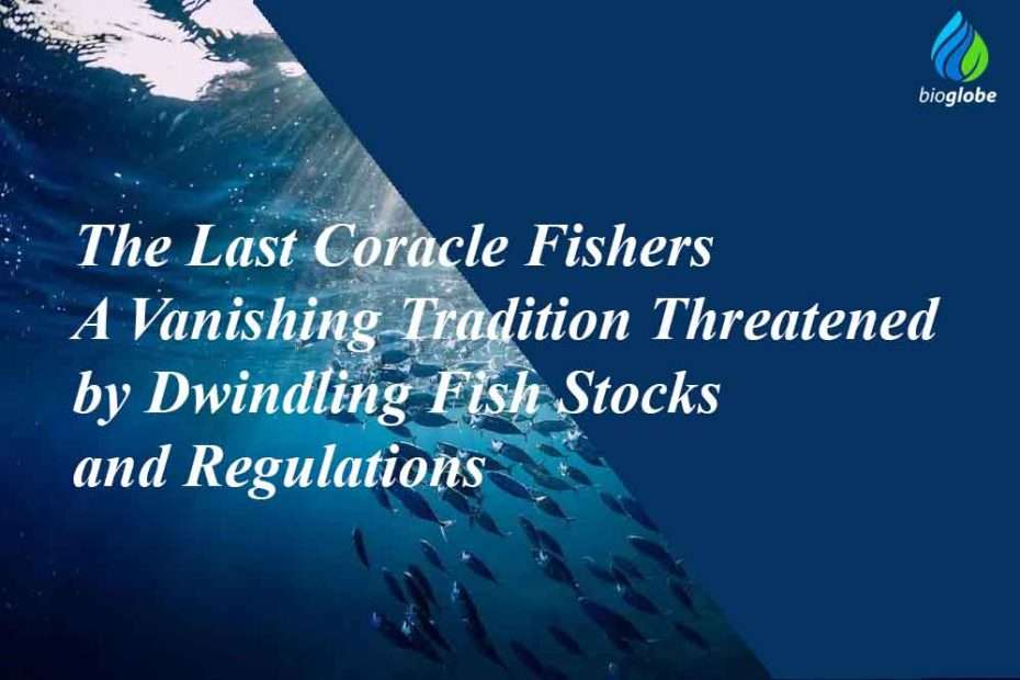 "The Last Coracle Fishers - A Vanishing Tradition Threatened by Dwindling Fish Stocks and Regulations" 1 The Last Coracle Fishers A Vanishing Tradition Threatened by Dwindling Fish Stocks and Regulations