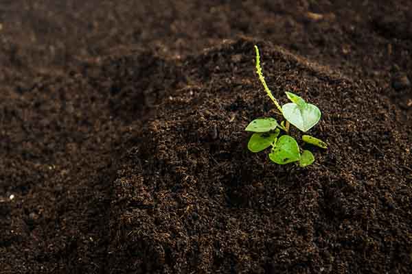 soil pollution 600x400 1